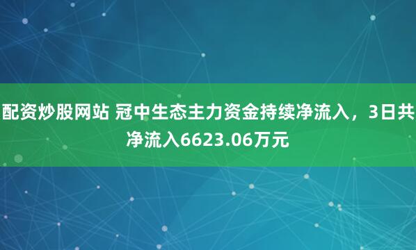 配资炒股网站 冠中生态主力资金持续净流入，3日共净流入6623.06万元